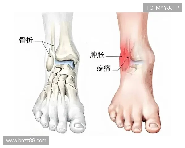 从争议视角解析违体犯规的判罚标准，如何准确认定球场上的危险动作？